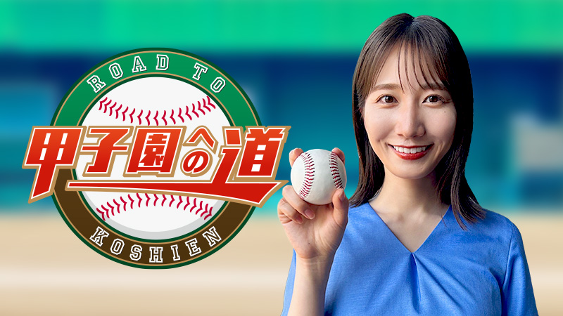 90％以上節約 第105回全国高校野球選手権記念 栃木大会 パンフレット プログラム