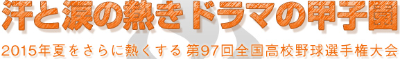 汗と涙の熱きドラマの甲子園 2015年夏をさらに熱くする第97回全国高校野球選手権大会