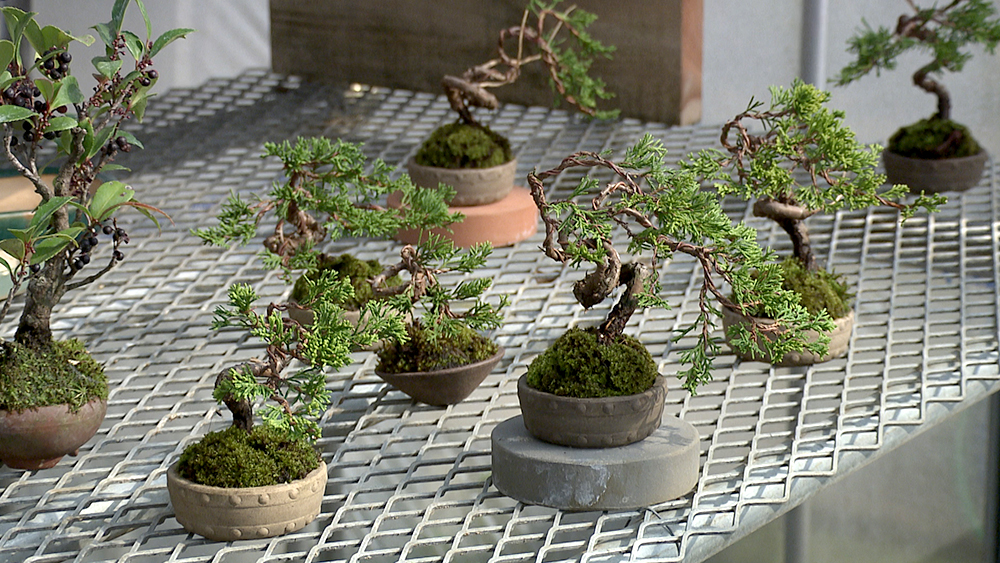 バックナンバー詳細 | LIFE～夢のカタチ～ | 朝日放送テレビ