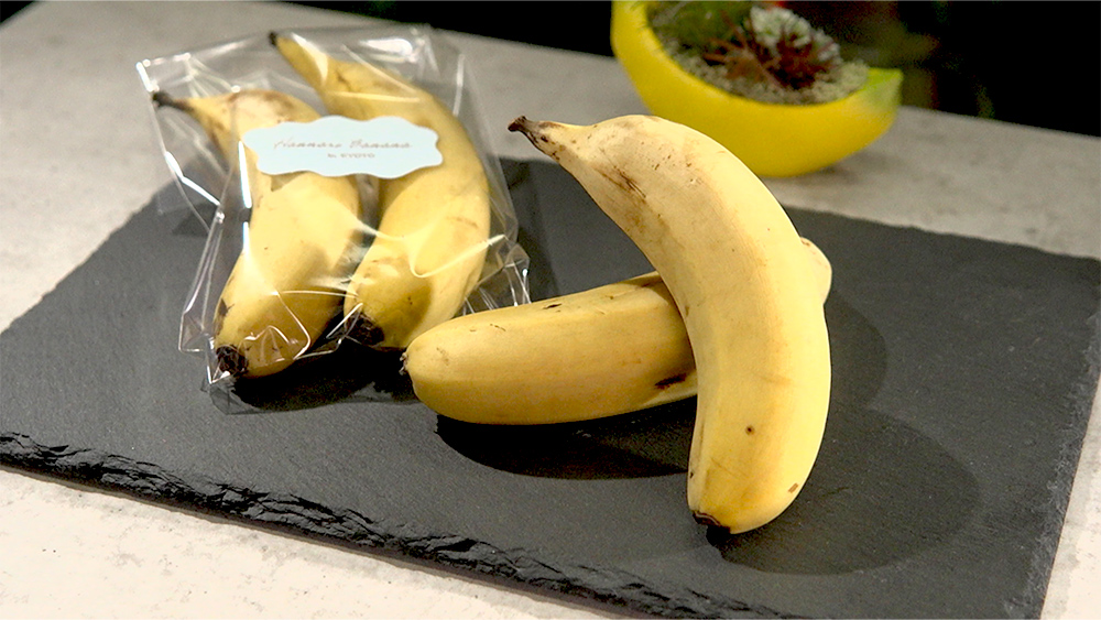 バックナンバー詳細 | LIFE～夢のカタチ～ | 朝日放送テレビ