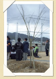 写真(生長の歩み01)