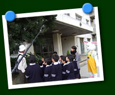 写真(みどりの授業)