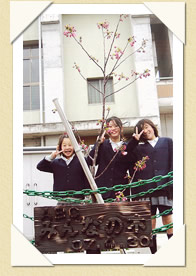 写真(生長の歩み02)