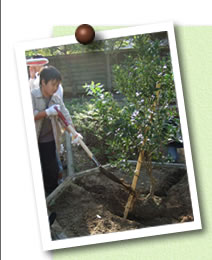 写真03(木)