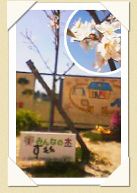 写真(生長の歩み02)