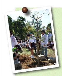 写真03(木)