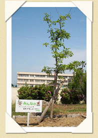 写真(生長の歩み02)