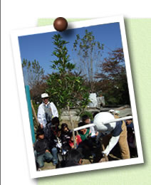 写真03(木)