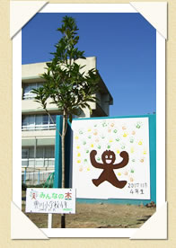 写真(生長の歩み01)
