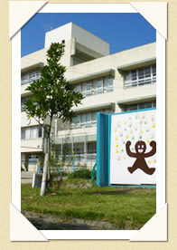 写真(生長の歩み02)