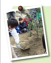 写真03(木)