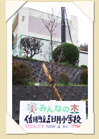 写真(生長の歩み01)