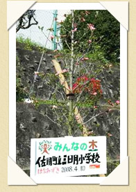 写真(生長の歩み02)