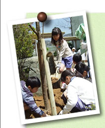写真03(木)