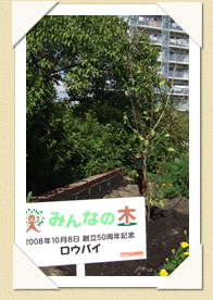 写真(生長の歩み01)