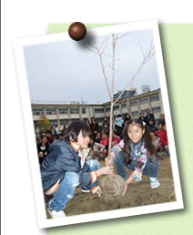 写真03(木)