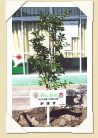 写真(生長の歩み01)