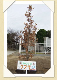 写真(生長の歩み01)
