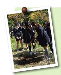 写真03(木)