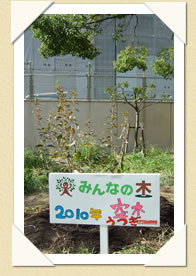 写真(生長の歩み01)