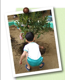 写真03(木)