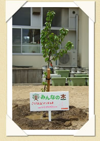 写真(生長の歩み01)