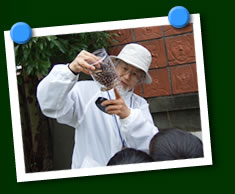 写真(みどりの授業)