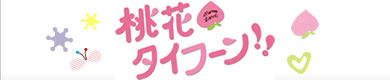桃花タイフーン!!
