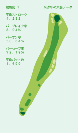 HOLE No.17