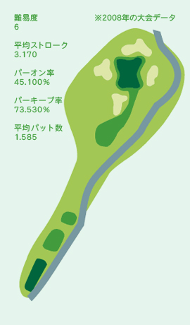 HOLE No.8