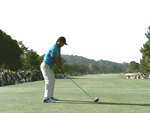片山晋呉