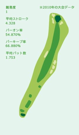 HOLE No.17