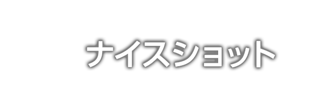 ナイスショット