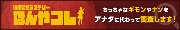 街角発見ミステリー　なんやコレ！？