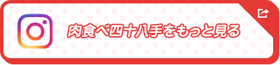 肉食べ四十八手をもっと見る（Instagram）