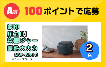 A賞 100ポイントで応募