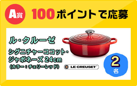 A賞 100ポイントで応募