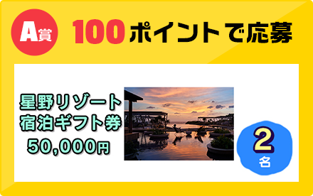 A賞 100ポイントで応募