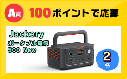 A賞 100ポイントで応募
