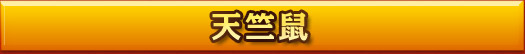 天竺鼠