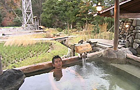 俺のひとっぷろ イメージ