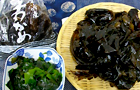 生中継イメージ