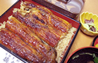 生中継イメージ