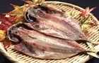 日本全国　コレ！うまかろう！！イメージ