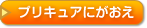 プリキュアにがおえ