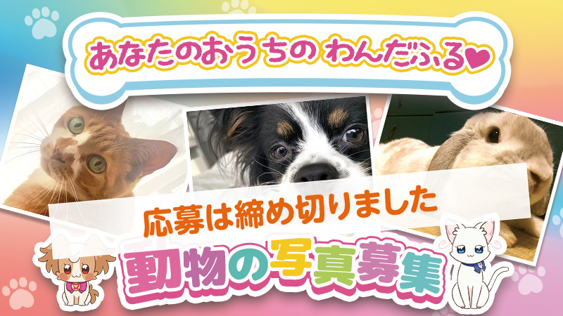 アイキャッチ