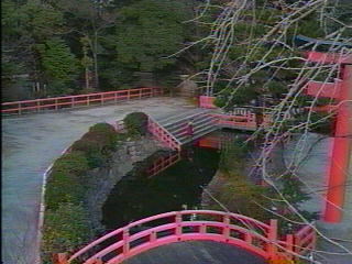 みたらしの池
