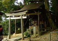 増井神社