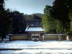 若狭彦神社(上宮)・本殿