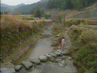 飛鳥川の飛び石